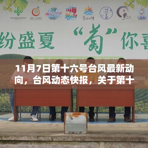 11月7日第十六号台风最新动态快报，台风动向揭秘