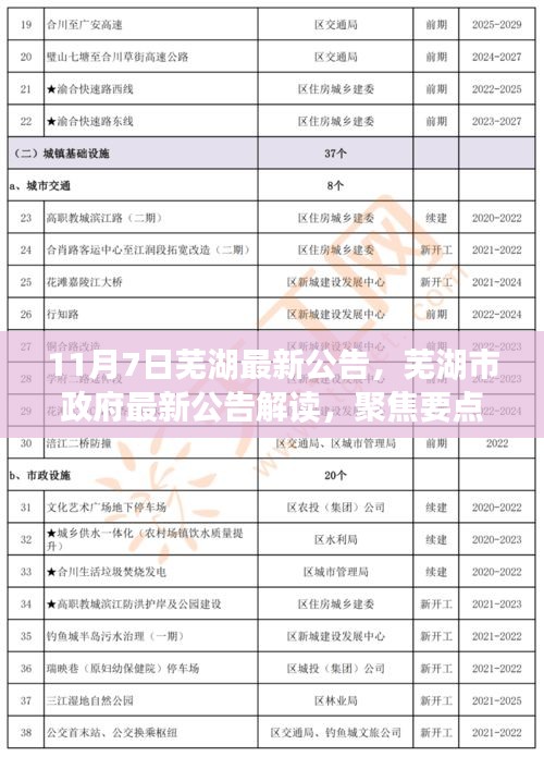 芜湖市政府最新公告解读，聚焦要点一览（11月7日）