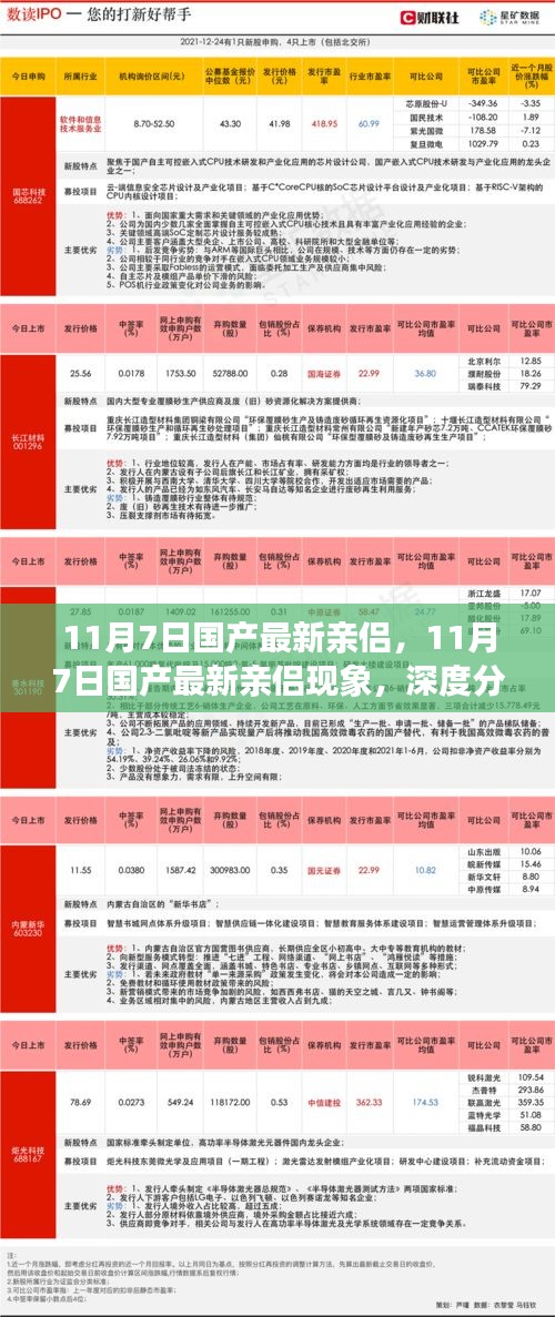 关于国产最新亲侣现象的深度分析与个人观点探讨（涉黄警示）