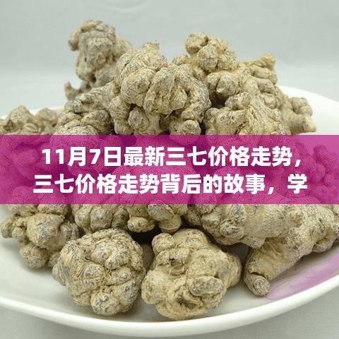 三七最新价格走势揭秘，变化的力量与自信成就之路