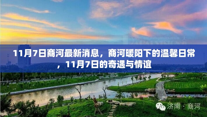 商河暖阳下的温馨日常与奇遇日，11月7日的情谊与消息