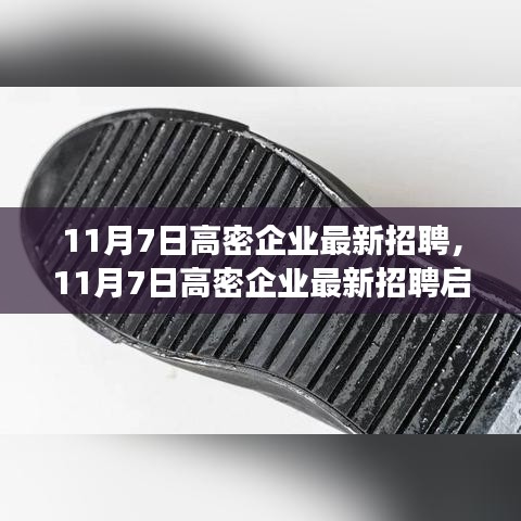 11月7日高密企业最新招聘启事，变化中成长，学习与自信共铸辉煌