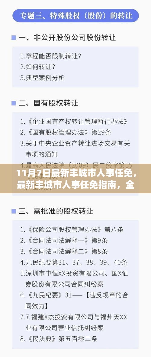 最新丰城市人事任免解析，步骤、操作技巧及指南