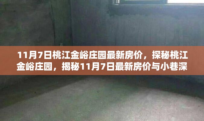 桃江金峪庄园最新房价揭秘，探寻小巷风情与最新房价动态