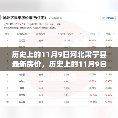河北肃宁县房价深度评测，历史上的11月9日最新房价概览