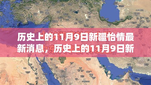 历史上的11月9日新疆怡情最新消息全面解析与介绍