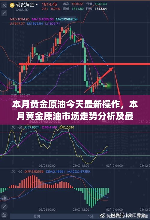 本月黄金原油市场走势分析与最新操作策略及操作建议今日发布