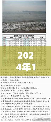 东疆港潮汐表下的友情纽带，温馨赶海日纪实