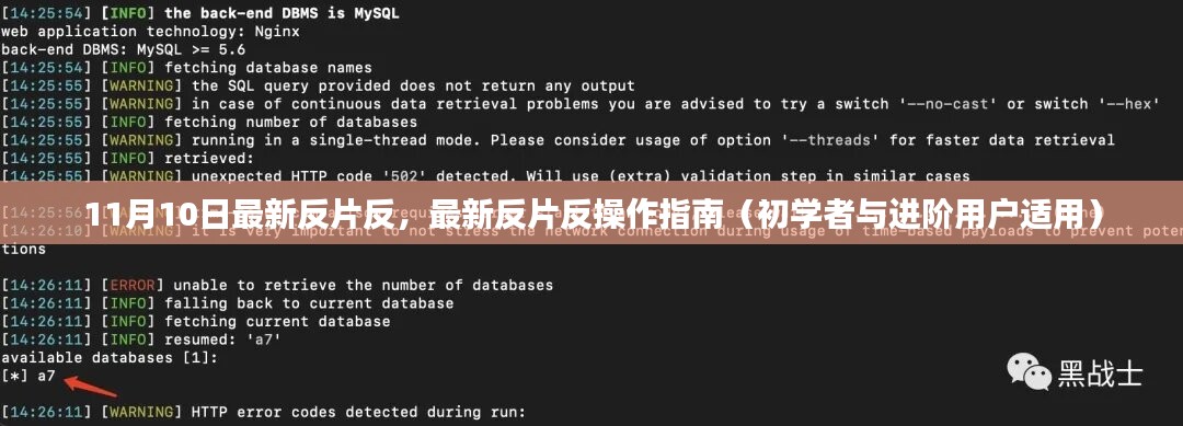 最新反片反操作指南，从初学者到进阶用户的全方位指导（11月10日更新）