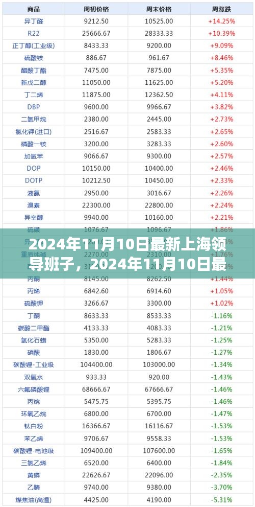 上海领导新班子揭晓，繁荣与领导力的新篇章篇章