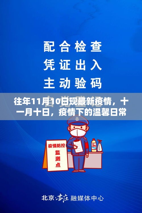 疫情下的温馨日常与友情力量，十一月十日最新疫情观察