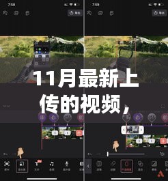 十一月风华录，最新视频大放送，精彩不容错过