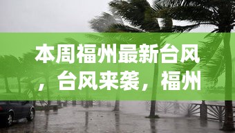 福州台风来袭，自然之旅带你寻找内心宁静的避风港