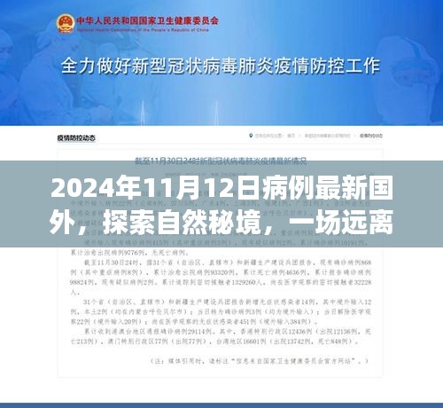 全球病例最新观察下的自然秘境探索，心灵之旅（2024年11月12日）