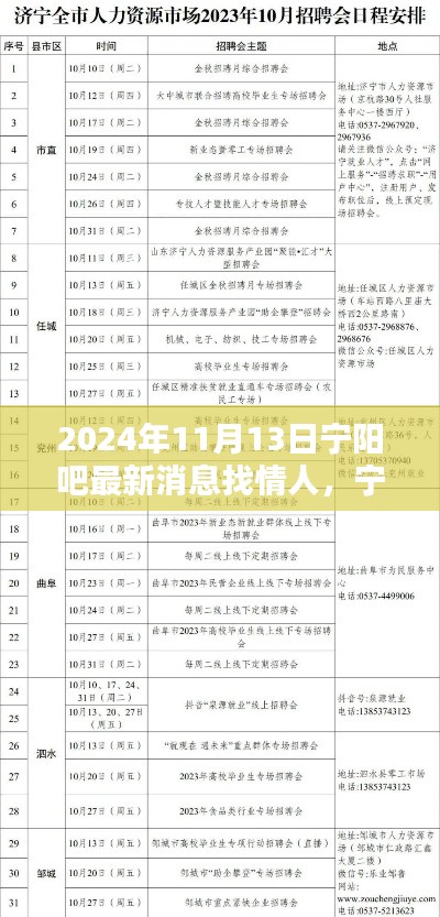 宁阳吧最新消息，寻找情人及伴侣全程指南（2024年11月13日）