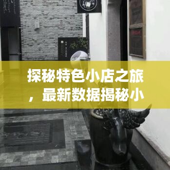 探秘特色小店之旅，最新数据揭秘小巷深处的隐藏瑰宝（11月14日独家报道）