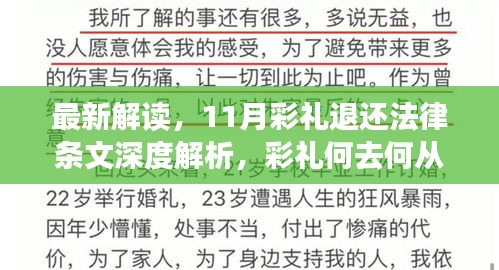 最新解读，11月彩礼退还法律条文深度解析，彩礼何去何从？