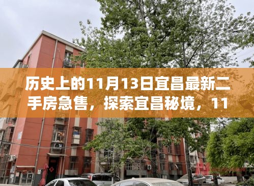 宜昌二手房急售背后的故事，探索隐藏小巷特色小店与神秘日期揭秘