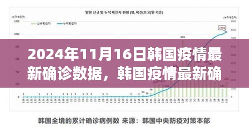 2024年11月16日韩国疫情最新数据解析与应对指南，初学者与进阶用户必读