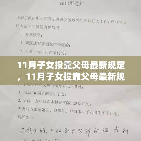 11月子女投靠父母最新规定，11月子女投靠父母最新规定，多方观点交织下的深度解析与个人立场