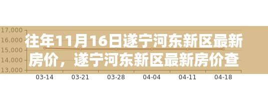 遂宁河东新区往年11月16日房价解析与查询指南，轻松掌握最新房价信息