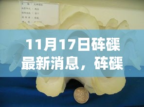 砗磲奇遇日，11月17日的温暖故事揭秘