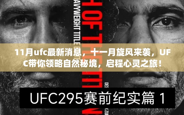 11月UFC最新动态，旋风来袭，启程心灵之旅探寻自然秘境