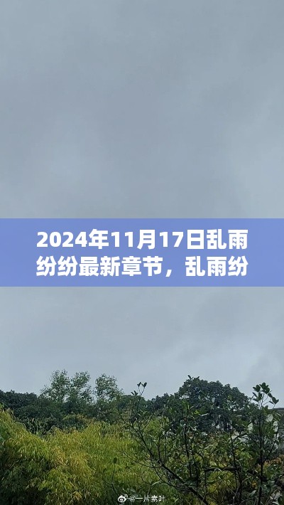 乱雨纷纷，最新章节探微（2024年11月17日更新）