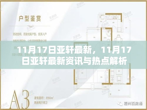 11月17日亚轩最新资讯与热点解析，掌握最新动态