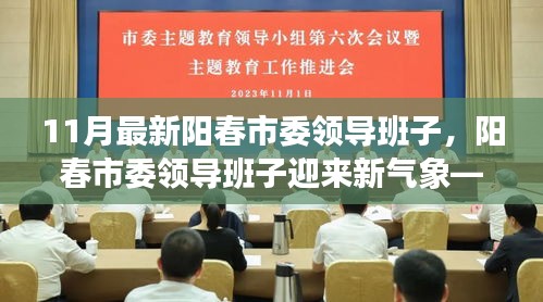 阳春市委领导班子新动态解析，新气象展现，11月最新更新