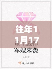 历年11月17日背后的深情与坚韧，军嫂小说的最新篇章与感人故事