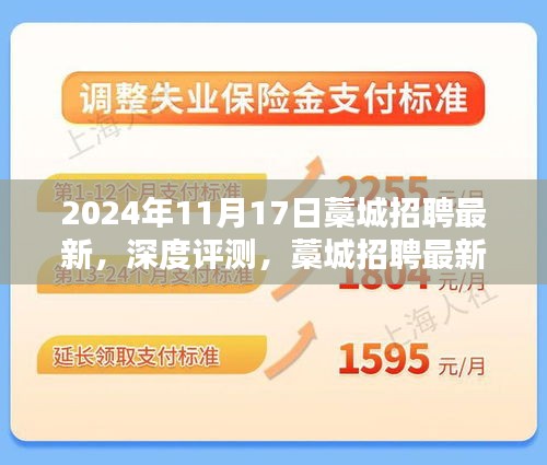 2024年藁城招聘最新动态，深度评测、特性体验、竞品对比及用户群体分析