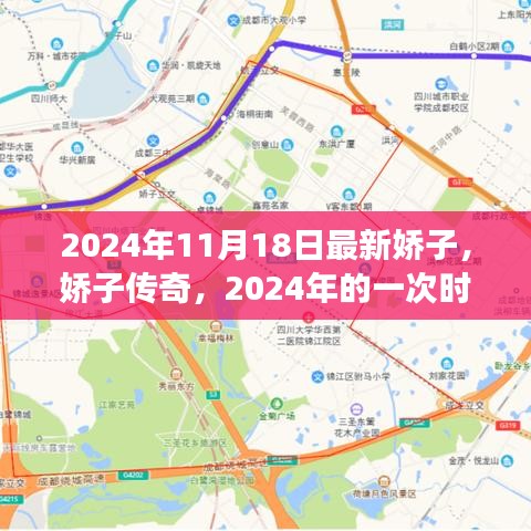 娇子传奇，时代变迁下的崛起之路（2024年11月18日最新资讯）