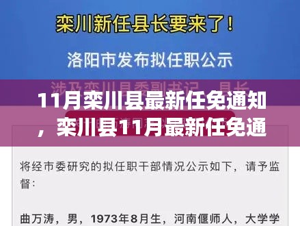 栾川县11月最新任免通知解析与介绍