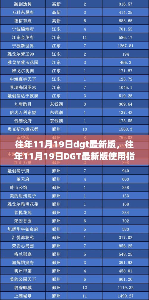 往年11月19日DGT最新版使用指南，初学者与进阶用户的必备手册