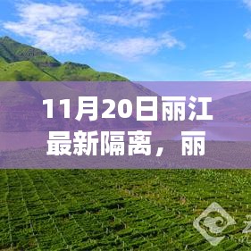 丽江隔离新篇章，变化中的学习与自信成就之光闪耀古城