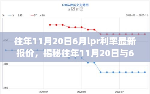 一次性餐包 第11页