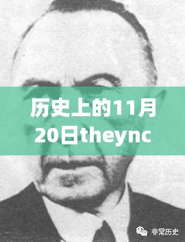 历史上的11月20日，全面评测theync最新地址及其特性、用户体验与目标用户分析