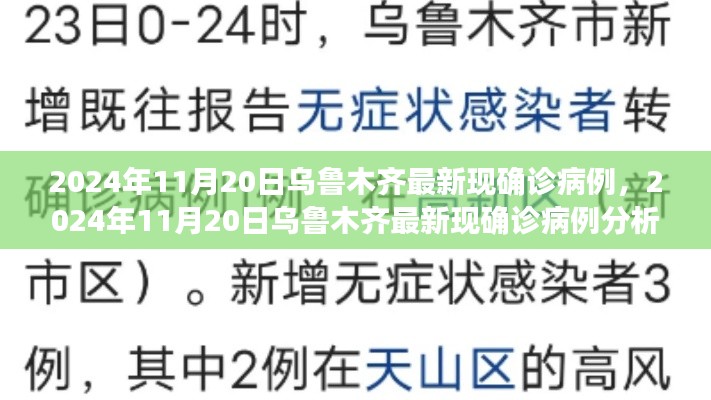 乌鲁木齐最新确诊病例分析与观察，聚焦2024年11月20日