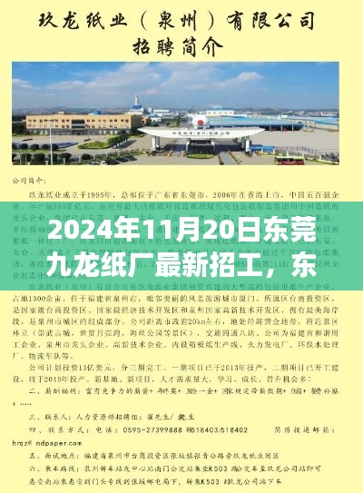 东莞九龙纸厂最新招工现象下的多元观点探讨，2024年11月20日招工动态分析