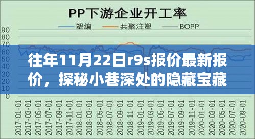 独家揭秘，隐藏小巷深处的报价宝藏——R9S最新报价特色小店