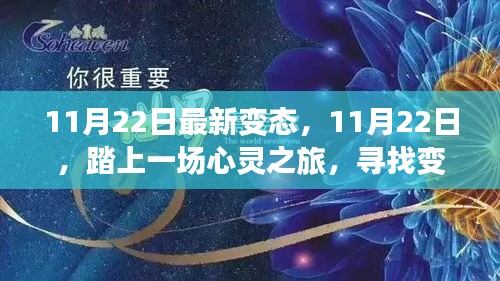 心灵之旅，探寻变态般的自然美景——11月22日最新体验