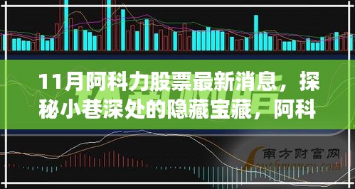 揭秘阿科力股票最新动态，独特小店背后的隐藏宝藏故事