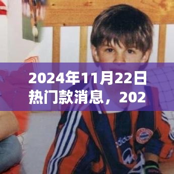 2024年11月22日热门款消息产品评测与深度分析，特性、体验、对比及用户群体洞察