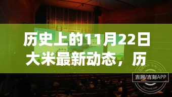 历史上的11月22日大米市场动态深度解析与最新动态