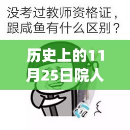 历史上的11月25日，表情包热风与自然之旅的心灵静谧