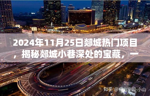 揭秘郯城小巷宝藏，特色小店独特魅力与隐藏惊喜（2024年11月25日热门项目）