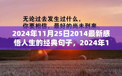 人生感悟经典句子概览，最新感悟人生的经典句子（2024年11月25日）