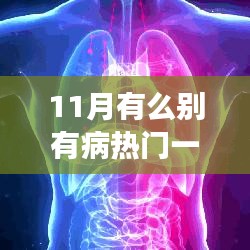 11月健康养生指南，预防疾病，享受美好时光