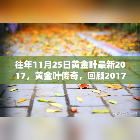 黄金叶传奇，回顾历史时刻与深远影响，纪念黄金叶最新时刻的来临——2017年11月25日回顾与展望